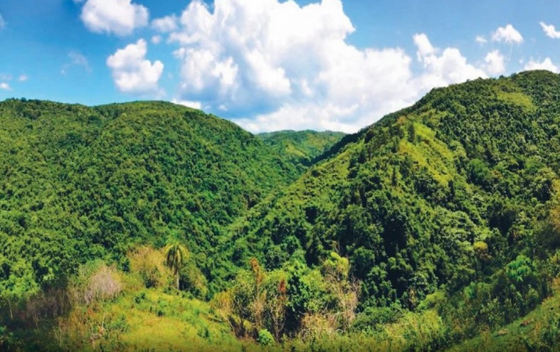Multa de 60 millones de pesos a empresa por daño ambiental