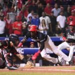 Toros derrotan a los Leones en la final del beisbol dominicano