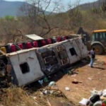 BRASIL: Al menos 15 muertos al volcarse un autobús en el este