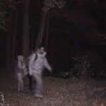 EU acusa dominicano de tráfico transnacional de personas