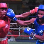 Púgiles de ocho países y RD en Copa Independencia de Boxeo