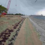 Entidad pide Presidente revisar el proyecto Manzanillo Power