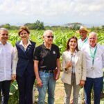 RD hace exportaciones tabaco por US,356 millones anuales