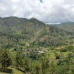 Loma Romero amenaza la vida y medio ambiente en San Juan