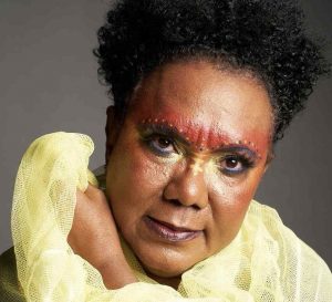Punta Cana se prepara para “The Village Jazz Fest 2026”
