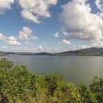 Un horrendo crimen medioambiental