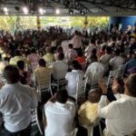 Dice para vencer a PRM, el PLD necesitará “jinete pura sangre”