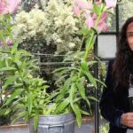 Escritora mexicana Alma Delia Murillo participará por primera vez en el Festival Mar de Palabras
