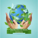 Día Mundial del Medio Ambiente: entre discursos y sestrucción