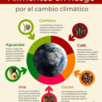 Cambio climático modifica calidad de nuestros alimentos 