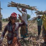 Economía RD: impacto de la resolución 301 de EE.UU. (OPINION)