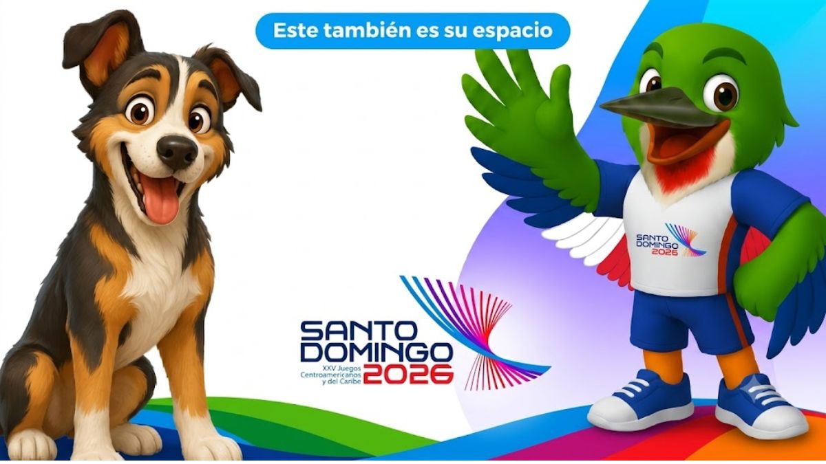 Miderec protege perros que habitan en instalaciones de Juegos Centroamericanos Miderec protege perros que habitan en instalaciones de Juegos Centroamericanos