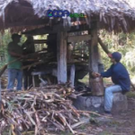 Trapiche, azúcar y raspadura