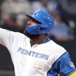 Dominicano Franmil Reyes se destaca en el béisbol de Japón