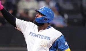Dominicano Franmil Reyes se destaca en el béisbol de Japón
