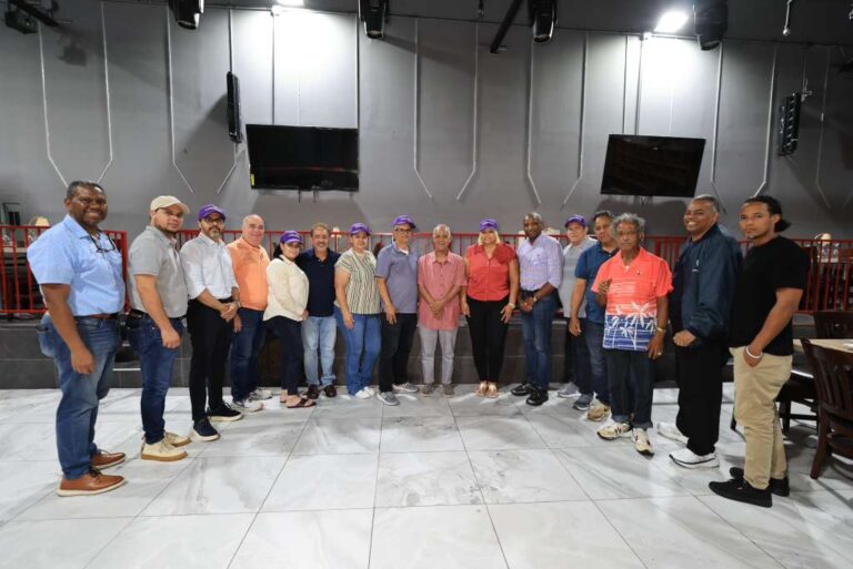 NY: Equipo de Gonzalo realiza primera reunión para montaje primarias PLD