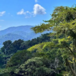 Parques nacionales y títulos de propiedad 