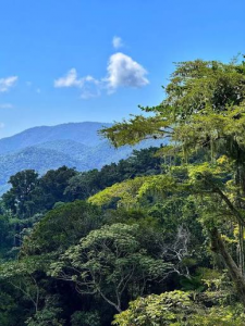 Parques nacionales y títulos de propiedad 