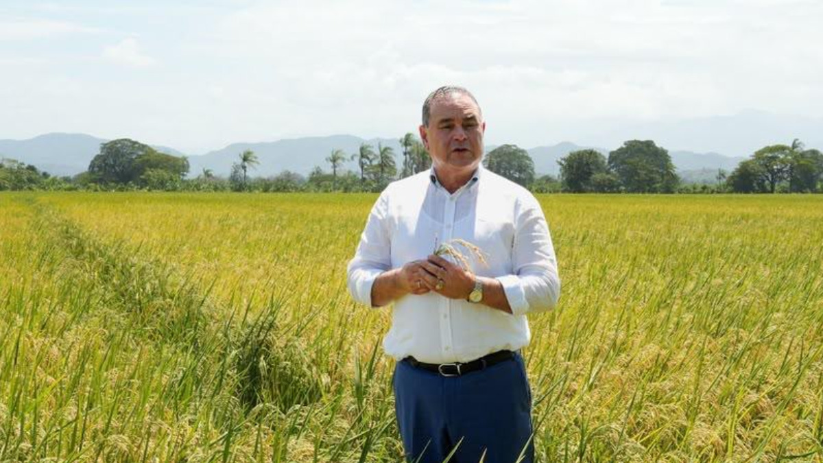 Video confirma postura del ministro de Agricultura sobre polémica por supuesta dispensa al sector arrocero Video confirma postura del ministro de Agricultura sobre polémica por supuesta dispensa al sector arrocero